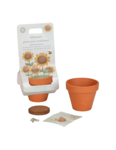 Vasetto con semi di girasole