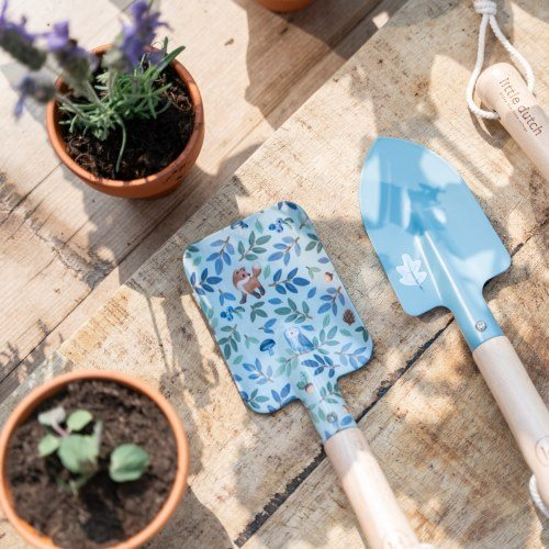 Vasetto con semi di non ti scordar di me