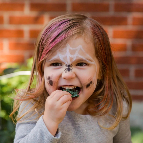 Face painting Bio kit 3 colori - Ragno e Diavoletto