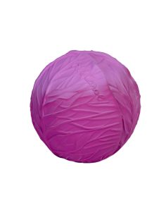 Gioco dentizione e bagnetto - Palla sensioriale Cavolo Viola 2