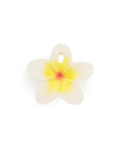 Massaggiagengive On-The-Go - Hawaii Il Fiore
