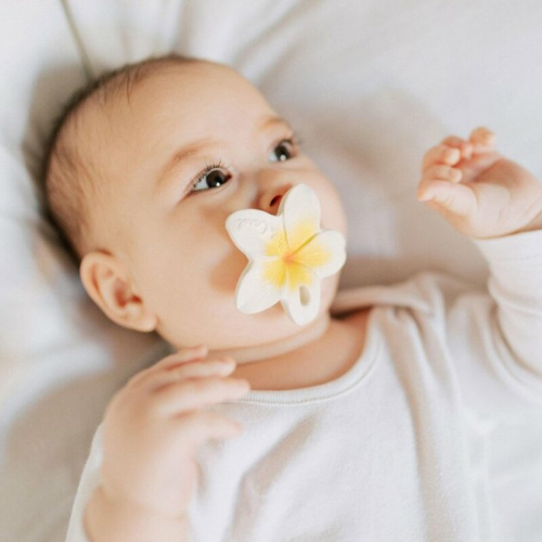 Massaggiagengive On-The-Go - Hawaii Il Fiore