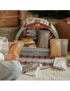 Calendario dell'Avvento - Tutti sul trenino del Natale 2