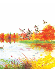 Chiedimi cosa mi piace 2