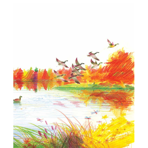 Chiedimi cosa mi piace