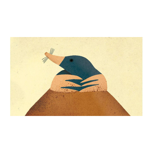 Sul prato/Sotto il prato