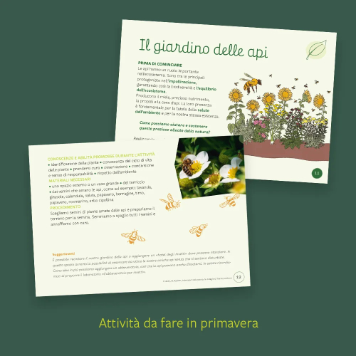 Laboratori nella natura: le 4 stagioni - Manuela Ruaben