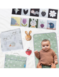 Kit passeggino neonato per esterno, set completo per uscite organizzat 2