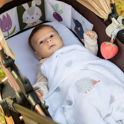 Kit passeggino neonato per esterno, set completo per uscite organizzat