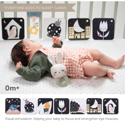 Kit passeggino neonato per esterno, set completo per uscite organizzat