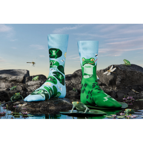 Calzini spaiati -  FROGGY FROG