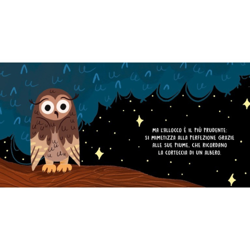 Dolci storie sonore. Gli animali della notte