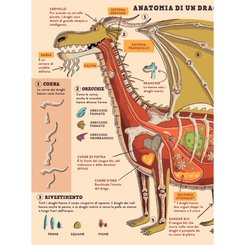 Tutto ma proprio tutto sui draghi