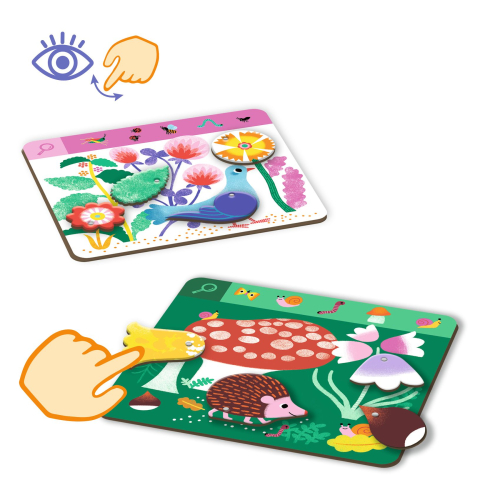 EduLudo - Gioco di osservazione - Animo