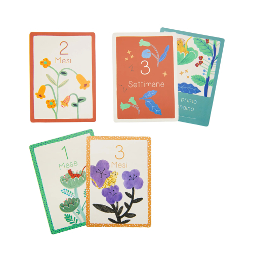 Carte Contamesi - I miei primi 12 mesi - in Italiano - La foresta Mawa