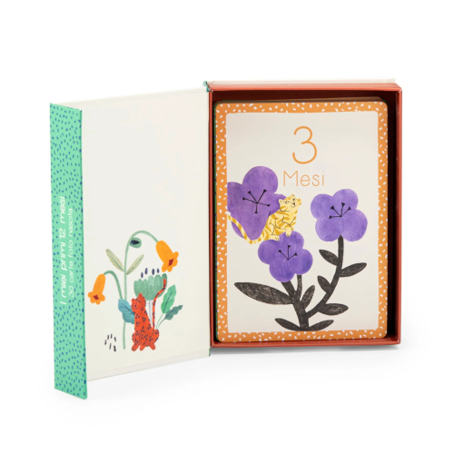 Carte Contamesi - I miei primi 12 mesi - in Italiano - La foresta Mawa