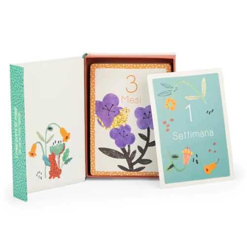 Carte Contamesi - I miei primi 12 mesi - in Italiano - La foresta Mawa