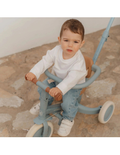 Triciclo 4 in 1 - dai 12 mesi ai 3 anni - Blue