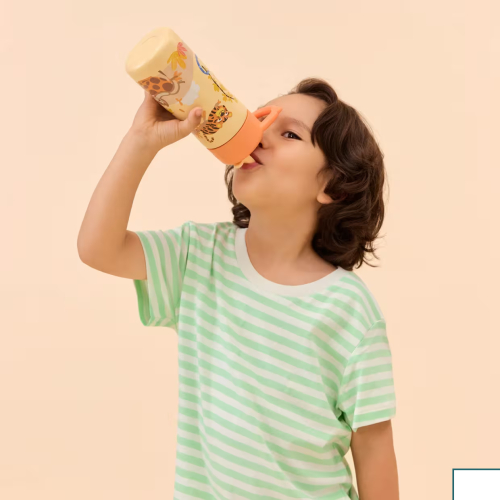 Borraccia in acciaio inox  430ml - La soleggiata savana