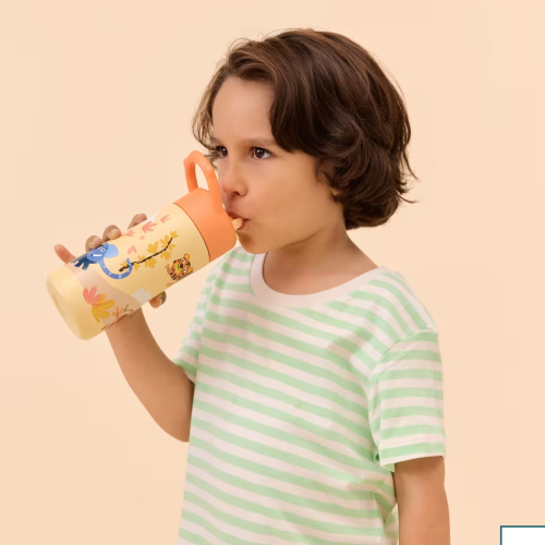 Borraccia in acciaio inox  430ml - La soleggiata savana