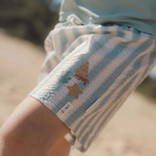 Costume Boxer pantaloncino - Ocean Surf Stripes