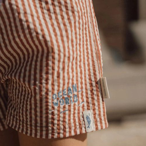 Costume Boxer pantaloncino - Ocean Brown Stripes