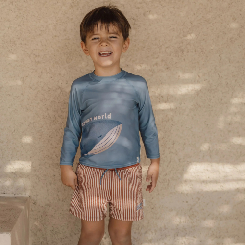 Costume Boxer pantaloncino - Ocean Brown Stripes