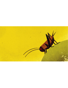 IN PRIMAVERA - Giovanna Zoboli - Philip Giordano 2