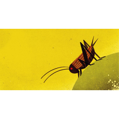 IN PRIMAVERA - Giovanna Zoboli - Philip Giordano