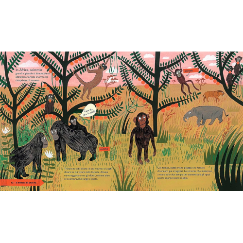 COME È NATA LA VITA - C. BARR