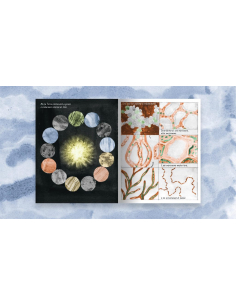 BANG! Z.HANAOR - C. SCHMAL 2