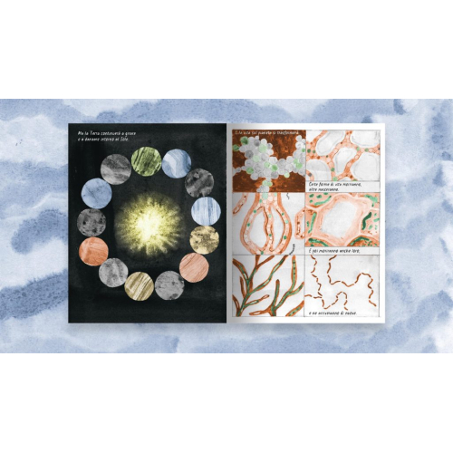 BANG! Z.HANAOR - C. SCHMAL