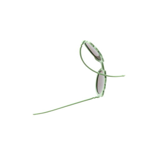 Lion Verde Salvia - da 1 a 2 anni