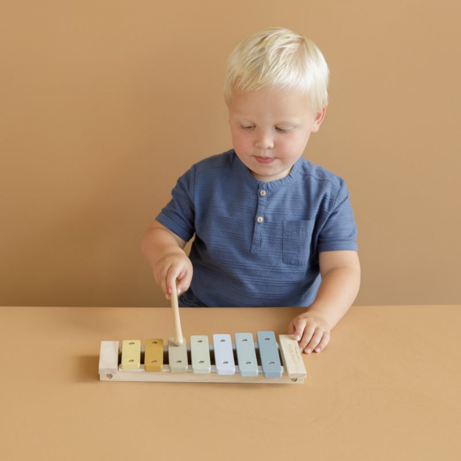 Xylophone blue 2