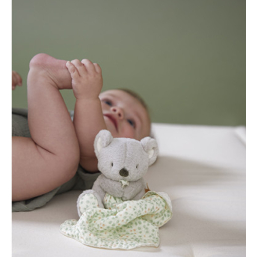 Dou Dou Peluche Koala