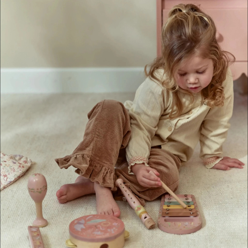 Set musicale rosa – Safari Friends