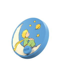 IL PICCOLO PRINCIPE