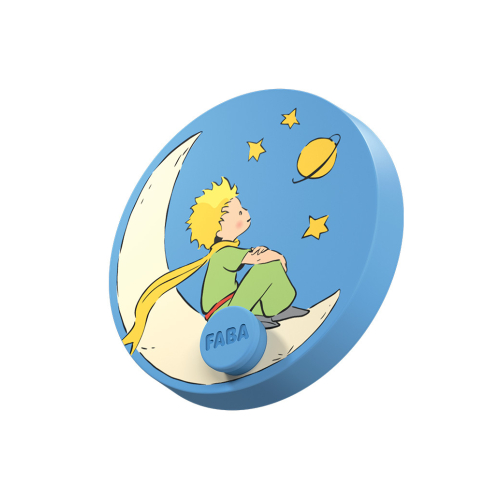 IL PICCOLO PRINCIPE