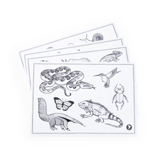 Tavoletta luminosa da disegno bifacciale Animali del mondo