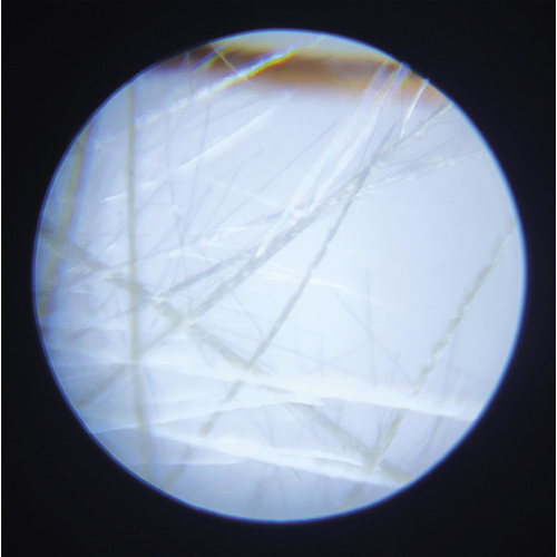 Microscopio tascabile | Janod