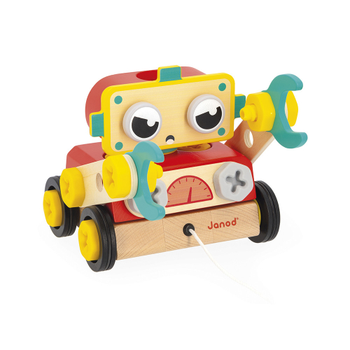 Robot da costruire BricoKids