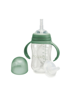 Tazza Transitional Sippy + Cannuccia con Peso 240ml - Fern