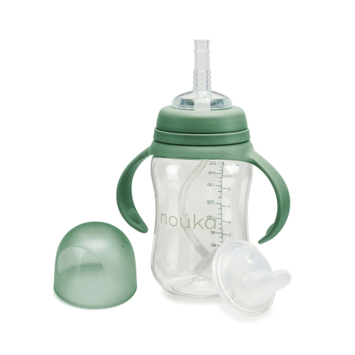 Tazza Transitional Sippy + Cannuccia con Peso 240ml - Fern