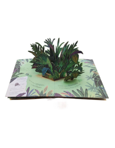Pop-up della natura. Piccole creature 2