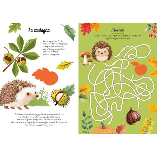 Sticker e attività. Autunno