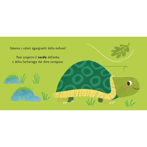 Scorri e scopri. I colori