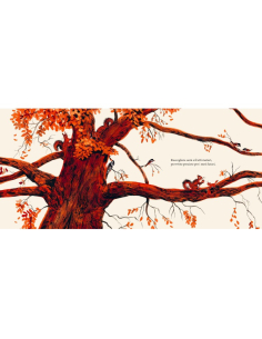 Tesori d'autunno 2