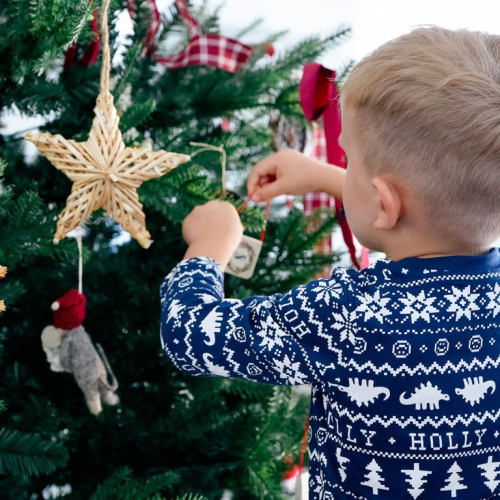 Calendario dell'Avvento. Aspettando il Natale