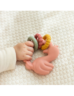 Massaggiagengive in silicone Fenicottero – Safari Friends 2