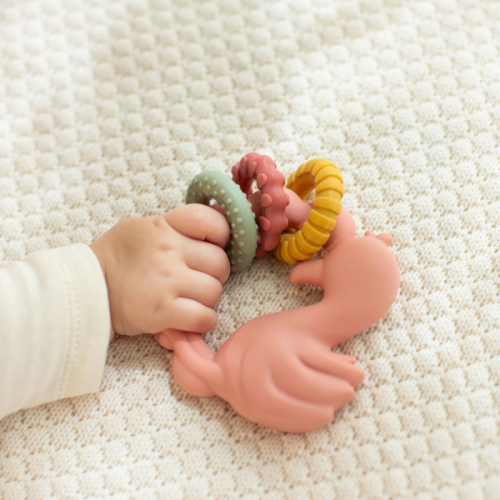 Massaggiagengive in silicone Fenicottero – Safari Friends